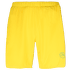 Pantaloni scurți La Sportiva Gust Short Men LEMONADE