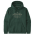 Hanorac Patagonia Forge Mark Uprisal Hoody Men Pinyon Green