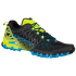 Încălțăminte La Sportiva Bushido II GTX Black/Neon