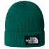 TNF LOGO BOX CUFFED BEANIE EVERGREEN