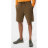 Pantaloni scurți The North Face Graphic Short Light Men FOREST OLIVE