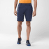 Pantaloni scurți Millet Trekker Stretch Short III Men DORITE NEW