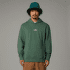 Hanorac The North Face HERITAGE GRAPHIC RELAXED HOODIE Men DUCK GREEN