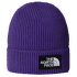 TNF LOGO BOX CUFFED BEANIE PEAK PURPLE