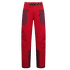 ALPINE GUIDE GTX PERFORMANCE PANTS MEN Mountain Red/Redwood