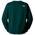 Hanorac The North Face SIMPLE DOME CREW Men HUNTER GREEN