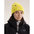 Căciuli Arcteryx Chunky Ribbed Toque Solitude Heather