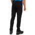 Colanți Direct Alpine Tonale Pants 2.0 Men black