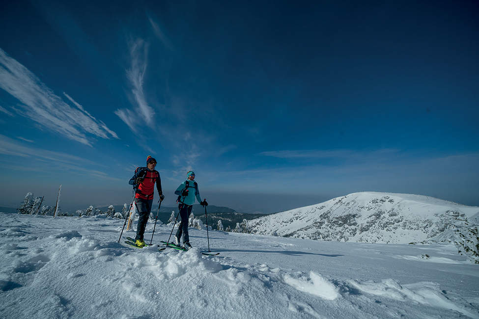 skialpy Krkonoše